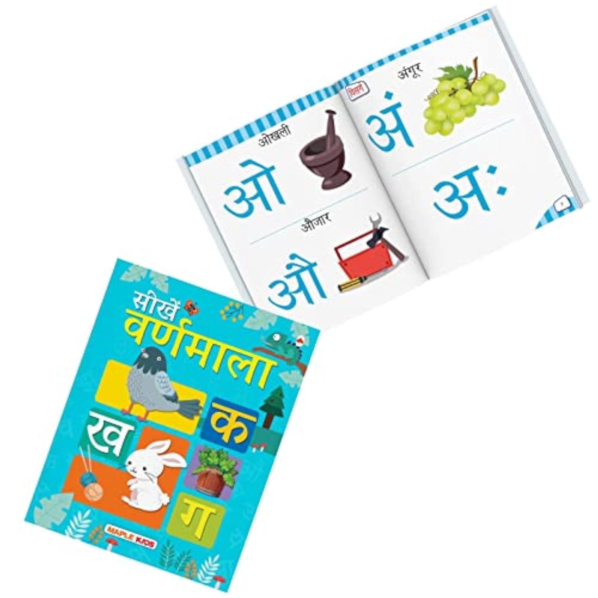 Varnmala Picture Book for Early Learning, Hindi Alphabets